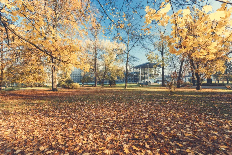 park-shopena-image